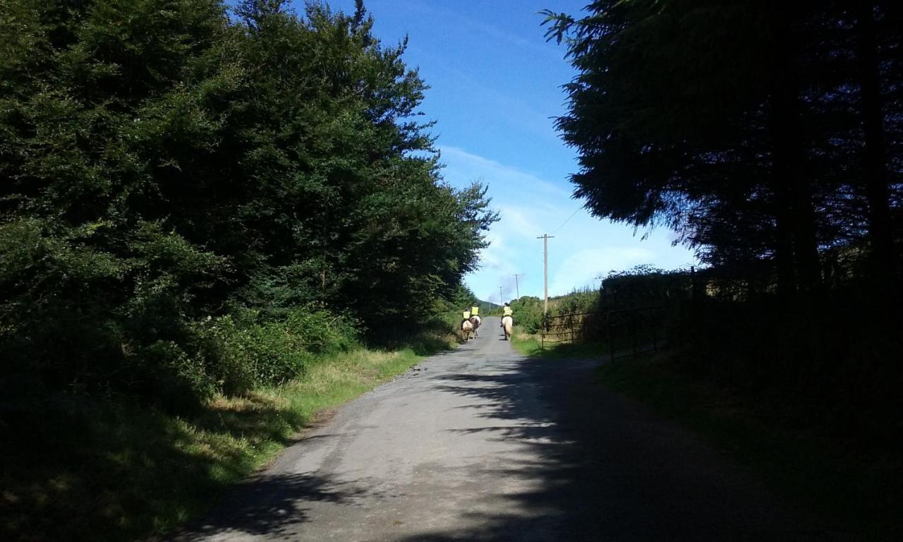 Macreddin Rock Aughrim