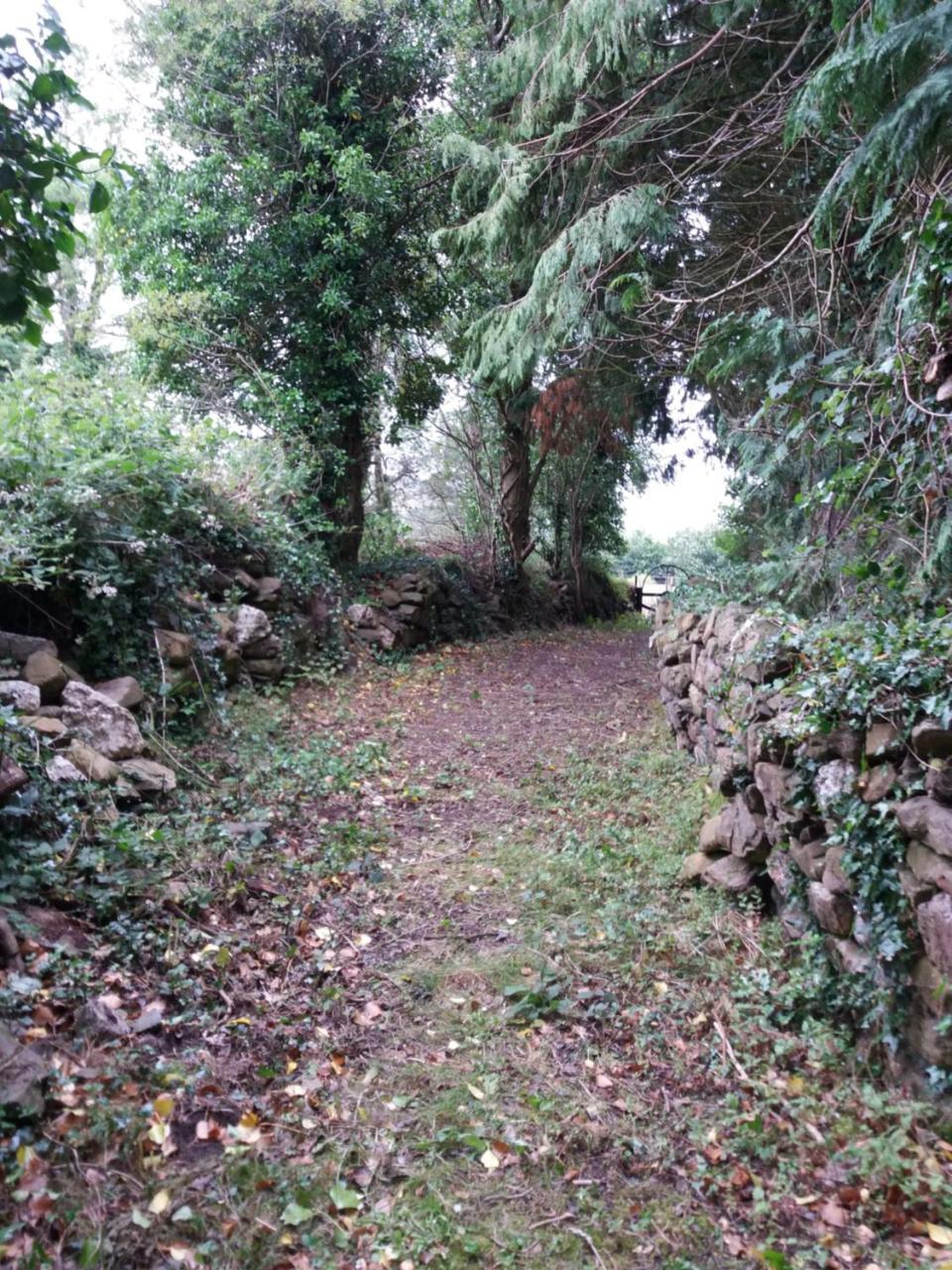 Macreddin Rock Bed & Breakfast Aughrim